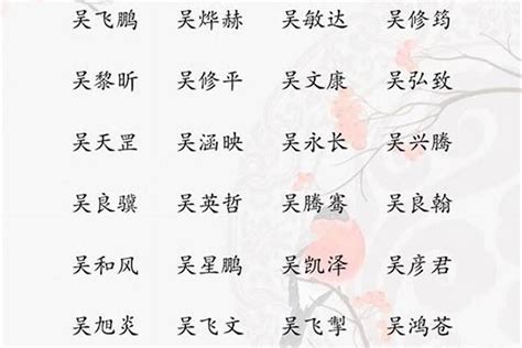 姓吳取名|吴姓寓意好的男孩名字（精选200个）